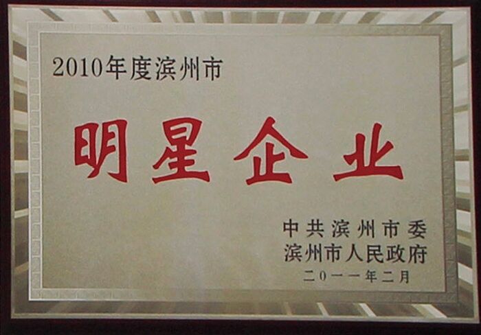 2010 Binzhou Star Enterprise 2010 Binzhou Star Enterprise