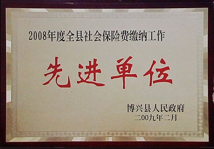 榮獲2008年度全縣社會保險費繳納工(gōng)作(zuò)