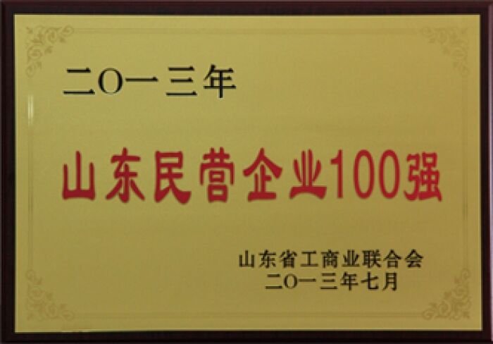 榮獲2013年山(shān)東民(mín)營企業100強